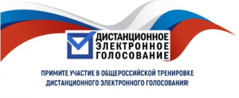 Жители Иркутской области могут принять участие в общероссийской тренировке по  тестированию  дистанционного электронного голосования